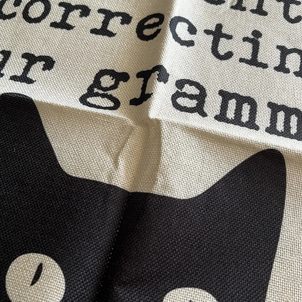 ‼️3/$10‼️ Grammar Cat Decorative Pillow Cover in Cream and Black